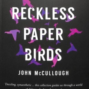 Reckless Paper Birds