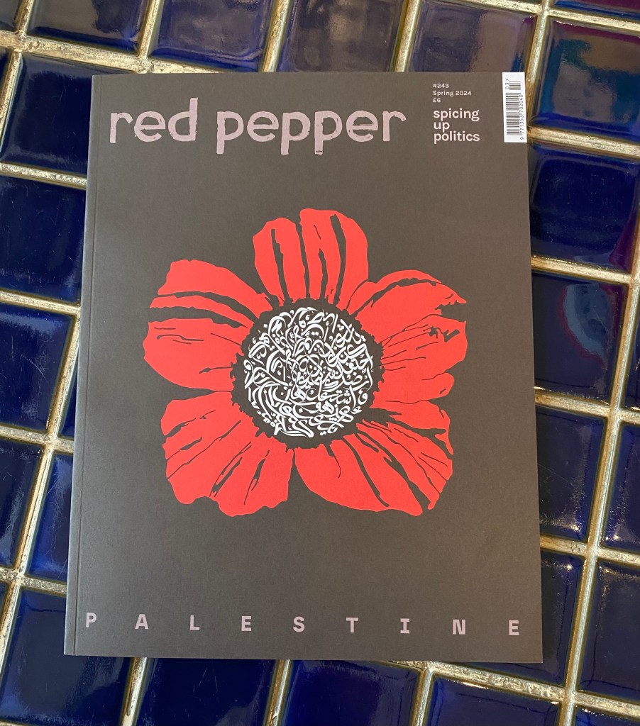 Red Pepper #243 – Palestine