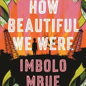 How Beautiful We Were