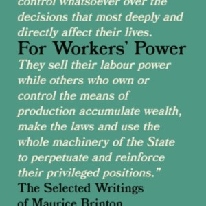 For Workers' Power : The Selected Writings of Maurice Brinton