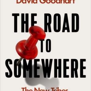 The Road to Somewhere : The New Tribes Shaping British Politics