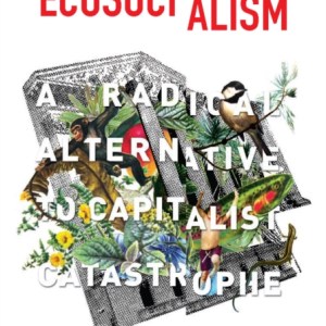 Ecosocialism : A Radical Alternative to Capitalist Catastrophe