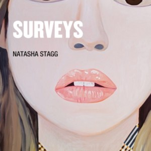 Surveys : A Novel