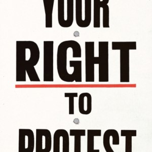 Your Right to Protest : Understand It, Use It