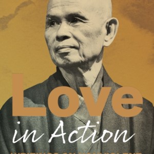 Love in Action, Second Edition : Writings on Nonviolent Social Change