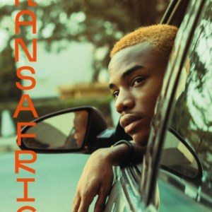 Transafrica : The Languages of Postqueerness