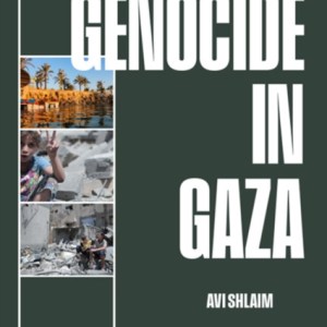 Genocide in Gaza : Israel, Hamas, and the Long War on Palestine