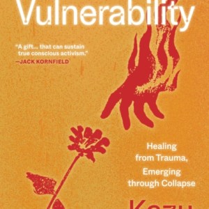 Fierce Vulnerability : Healing from Trauma, Emerging from Collapse