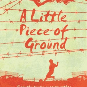 A Little Piece of Ground : 15th Anniversary Edition