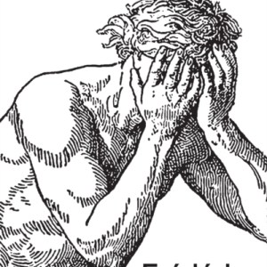 A Philosophy of Shame : A Revolutionary Emotion