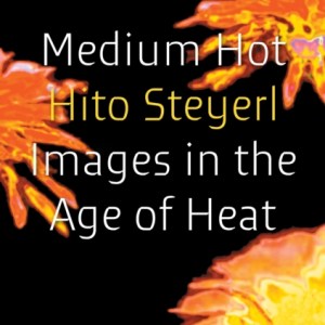 Medium Hot : Images in The Age of Heat