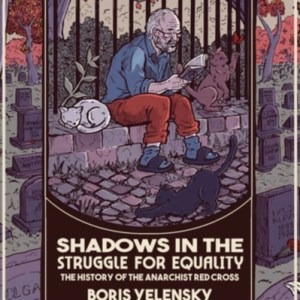 Shadows in the Struggle for Equality