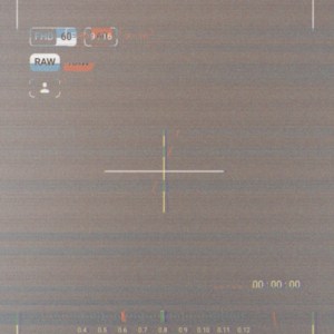 Revolutionary Desires : The Political Power of the Sex Scene