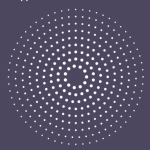 How Does Change Happen? : Scenes from the Frontlines of Activism