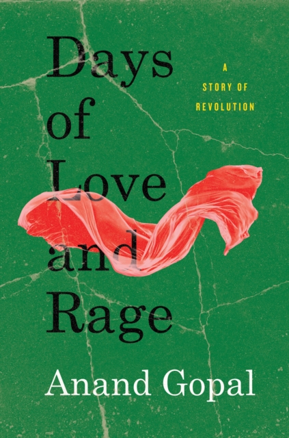 Days of Love and Rage : A Story of Revolution
