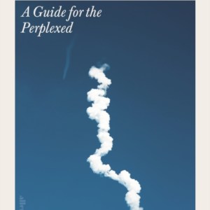 Muskism : A Guide for the Perplexed