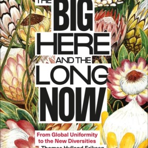 The Big Here and the Long Now : From Global Uniformity to the New Diversities