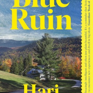 Blue Ruin