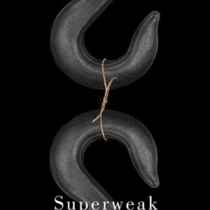 Superweak : Thinking in the 21st Century