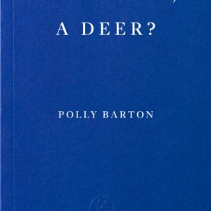 What Am I, A Deer?