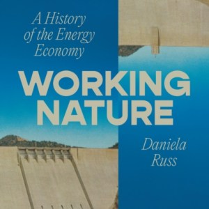 Working Nature : A History of the Energy Economy