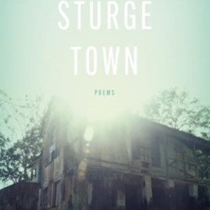 Sturge Town