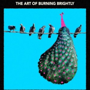 Flamboyance : The Art of Burning Brightly